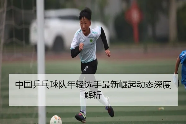中国乒乓球队年轻选手最新崛起动态深度解析